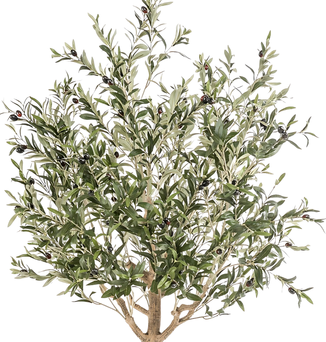 Künstlicher Olivenbaum | Olea europaea | +/- 180cm | ø 15cm Topf