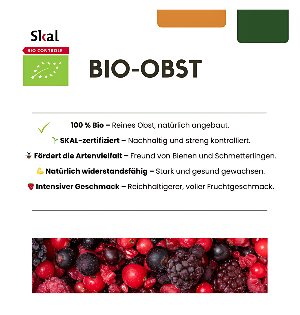 Bio Brombeerpflanzen (3 Stück) | +/- 20 cm | ø 13 cm