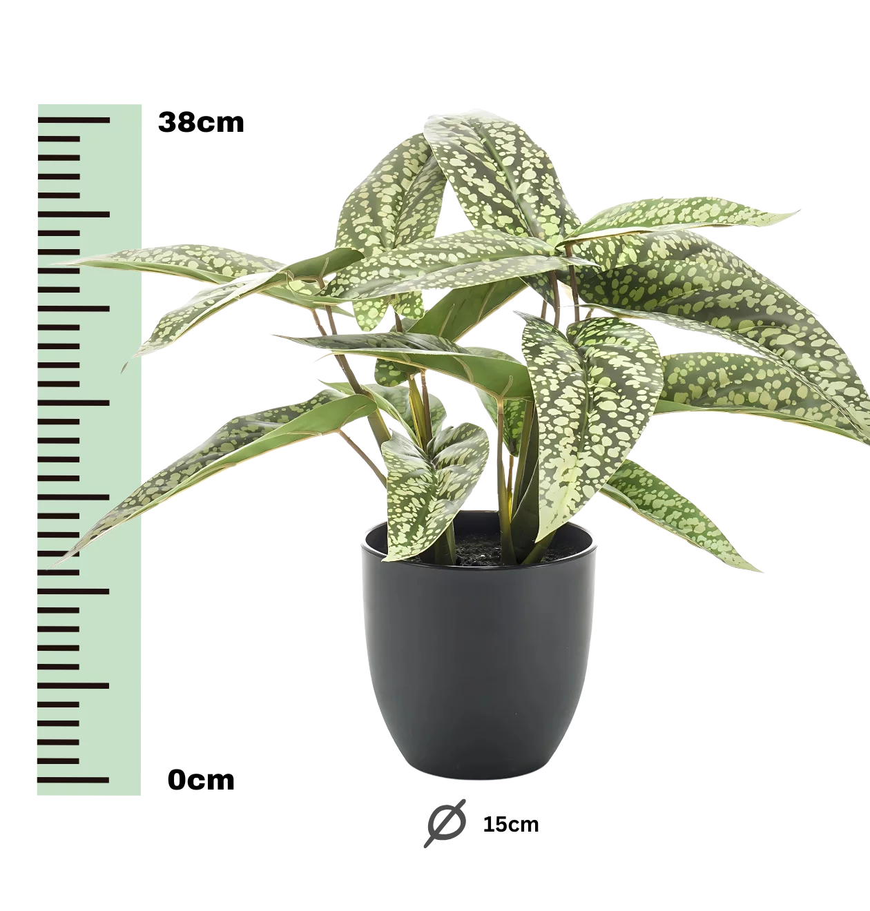 Künstliche Calathea “Dots” | Korbmarante | +/- 38cm | ø 15cm Topf