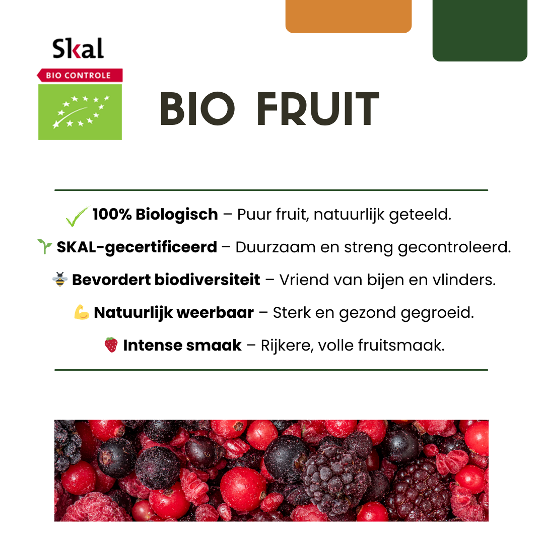 3 x Biologische kiwiplanten - Ø 13 cm - ↨ 20 cm