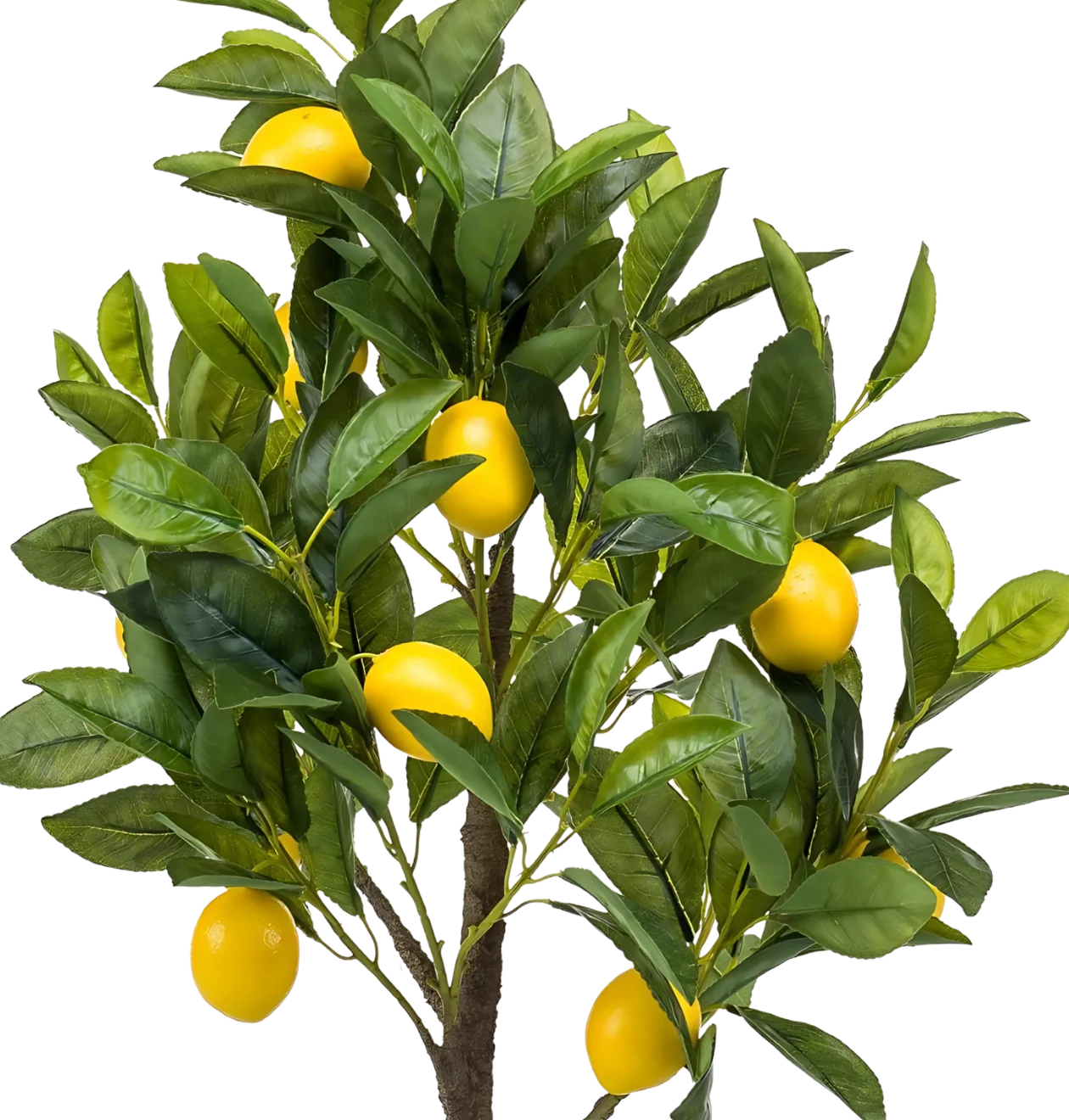 Künstliche Citrus Limonia | Zitrusbaum | +/- 75cm | ø 12cm Topf