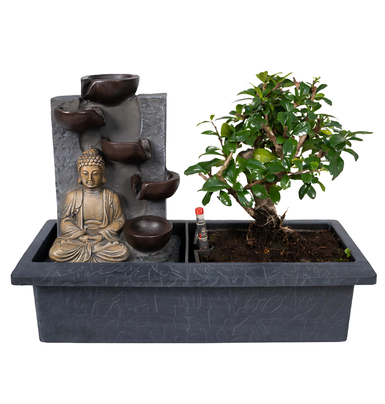 Bonsai-Baum “Meditation” | Bonsai mit Buddha & Wasserfall | +/- 30cm | ø 15cm Topf