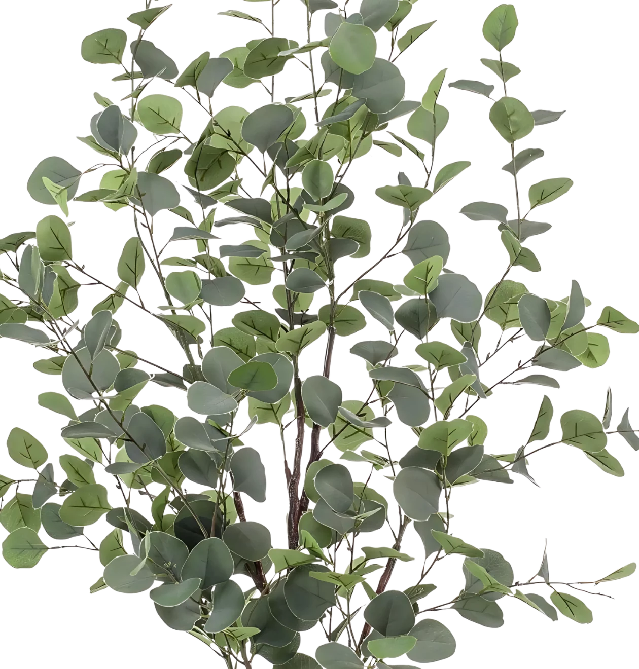 Künstlicher blauer Eukalyptus | Gummibaum | +/- 120cm | ø 14cm Topf