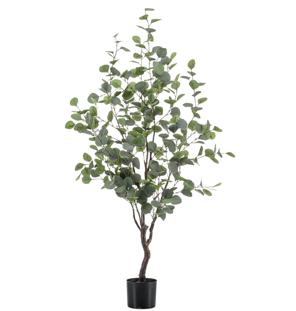 Künstlicher blauer Eukalyptus | Gummibaum | +/- 120cm | ø 14cm Topf