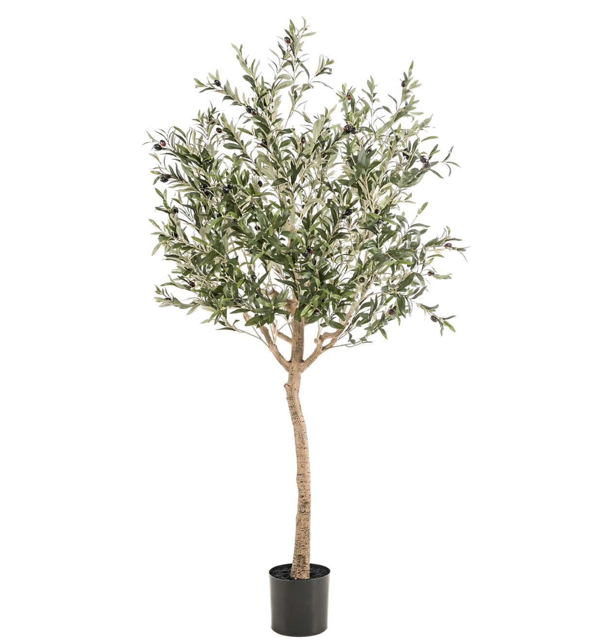 Künstlicher Olivenbaum | Olea europaea | +/- 180cm | ø 15cm Topf